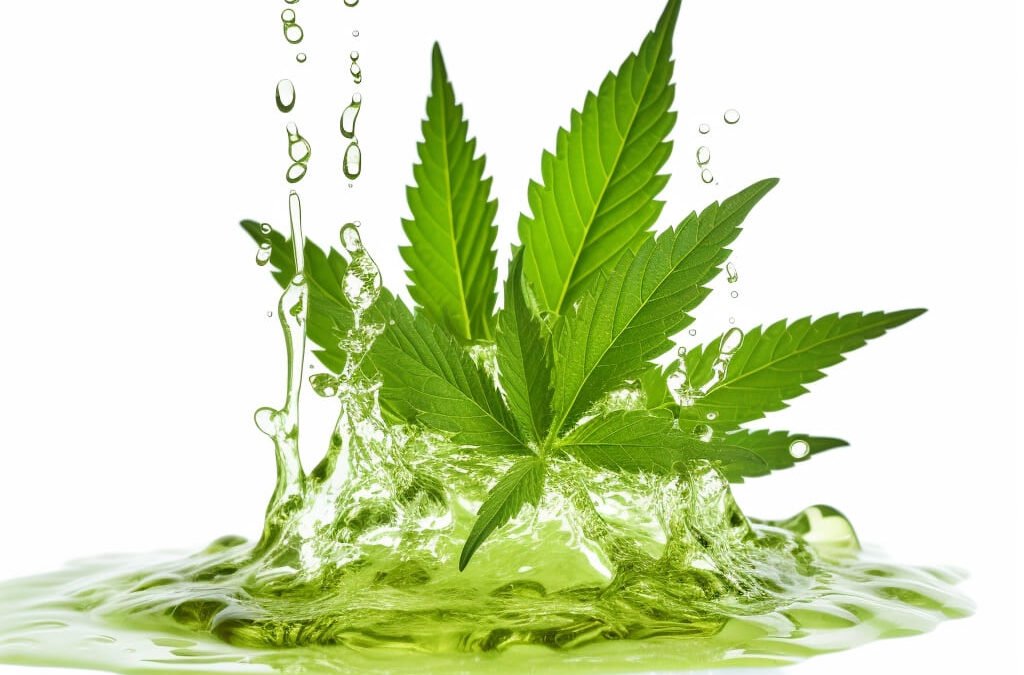 Tout ce qu’il faut savoir sur le CBD hydrosoluble