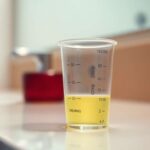 CBD et test urinaire : ce qu'il faut savoir