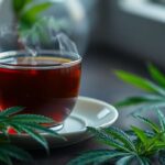 Infusion au CBD : soulager la douleur naturellement