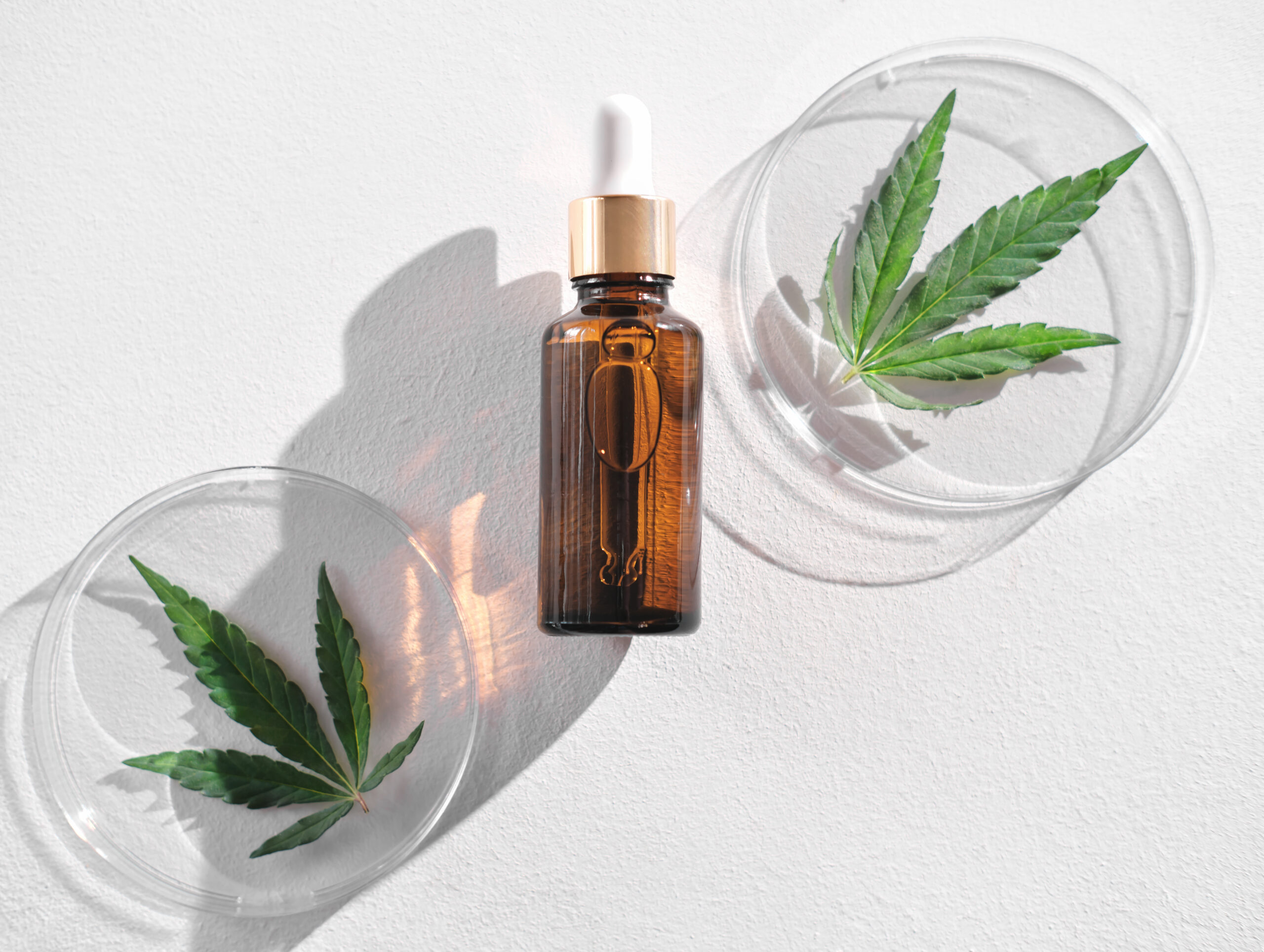 Combien de gouttes d’huile de CBD consommer