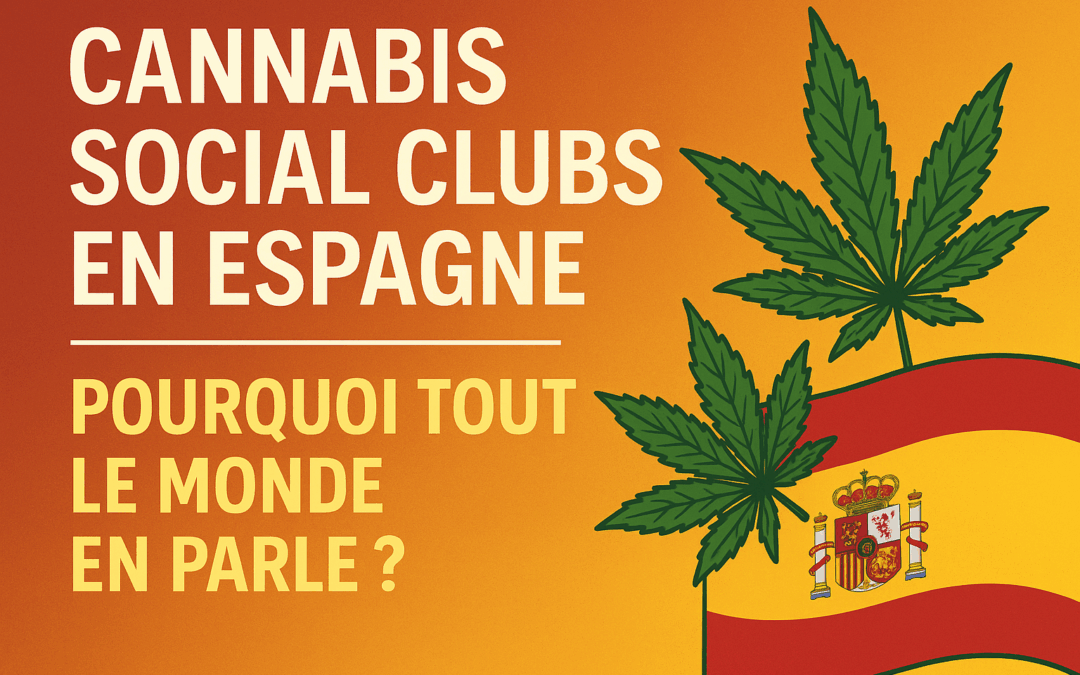 Cannabis Social Clubs : pourquoi sont-ils populaires en Espagne ?