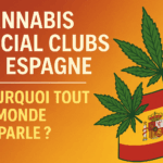 Cannabis Social Clubs : pourquoi sont-ils populaires en Espagne ?