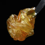 Qu'est-ce que le rosin de cannabis ?
